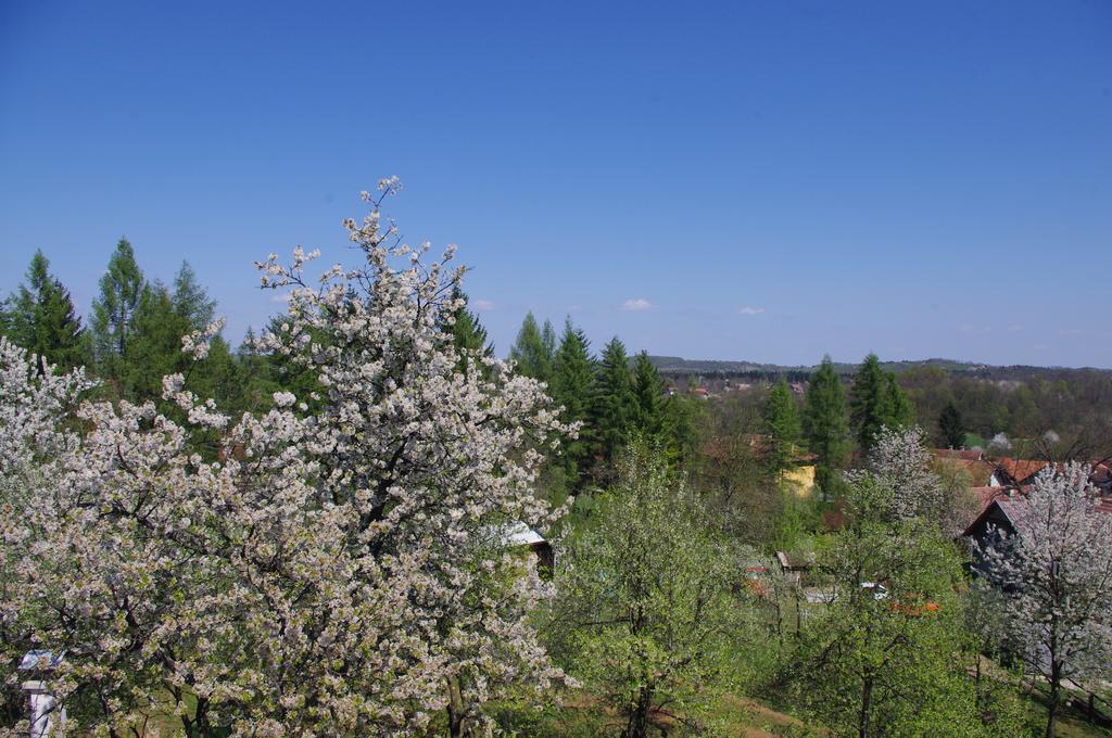 Apartment Tomy Слуни Экстерьер фото